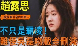 爆料鸡西女孩事件视频播放,真相与争议交织
